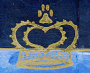 Copyright - Niki de Mestral