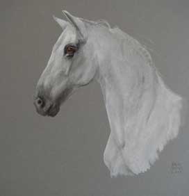 Cheval Gris