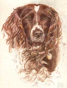 Copyright - Niki de Mestral