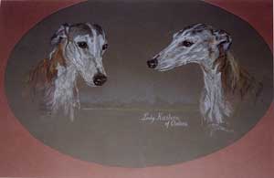 Copyright - Niki de Mestral