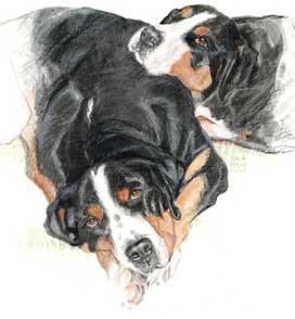 Copyright - Niki de Mestral