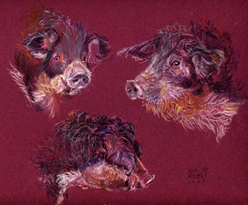 Copyright - Niki de Mestral