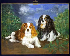 Copyright - Niki de Mestral