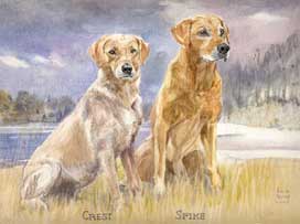 Copyright - Niki de Mestral