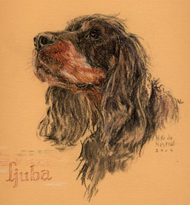 Copyright - Niki de Mestral