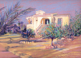 Copyright - Niki de Mestral