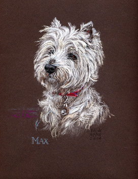 Copyright - Niki de Mestral