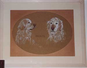 Copyright - Niki de Mestral