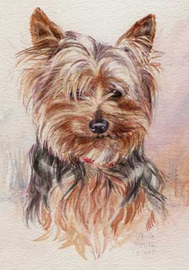 Copyright - Niki de Mestral