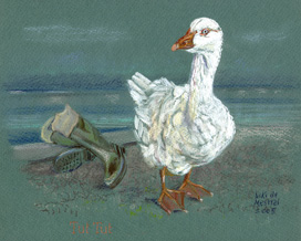 Copyright - Niki de Mestral