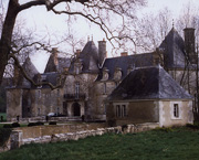 Copyright - Niki de Mestral