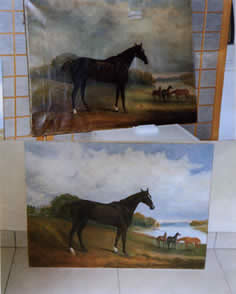 Copyright - Niki de Mestral