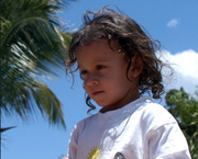 Copyright - Niki de Mestral