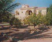 Copyright - Niki de Mestral