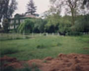 Copyright - Niki de Mestral