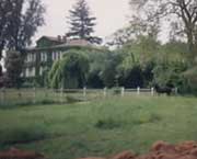 Copyright - Niki de Mestral